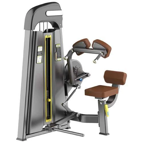 Waist And Back Training Apparatus factory
